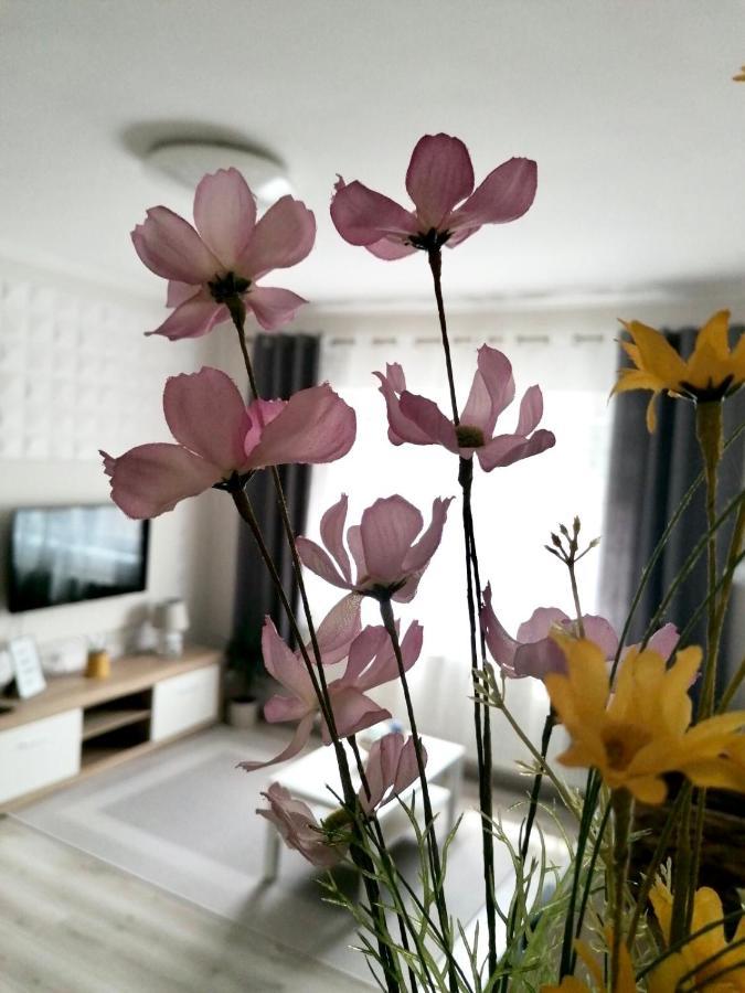 Sweet Central Apartment ,In The City Center Eger Buitenkant foto